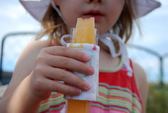 FREE Tutorial: Insulated Holder for Stick Popsicles and Frozen Yogurt
