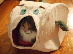 DIY Fish Cat House Free Sewing Pattern and Tutorial