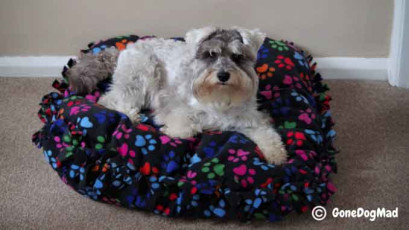 No-Sew DIY Dog Bed FREE Sewing Tutorial