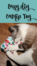 Easy DIY Catnip Toy FREE Sewing Tutorial