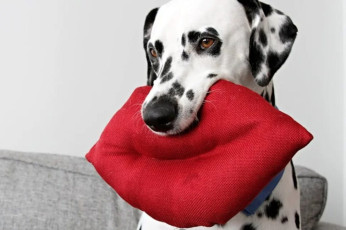 DIY Giant Lips Stuffed Dog Toy FREE Sewing Tutorial