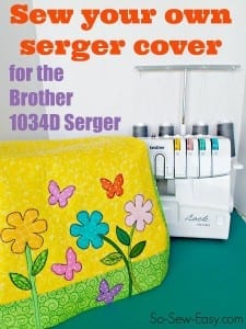 Case for the Brother 1034d serger