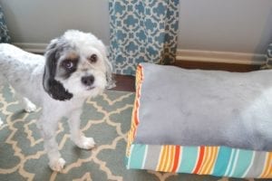 How to Sew a Dog Bed