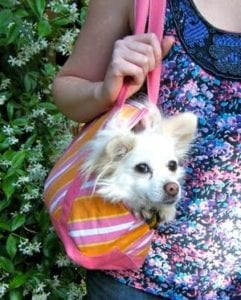 Doggy Tote FREE Sewing Tutorial