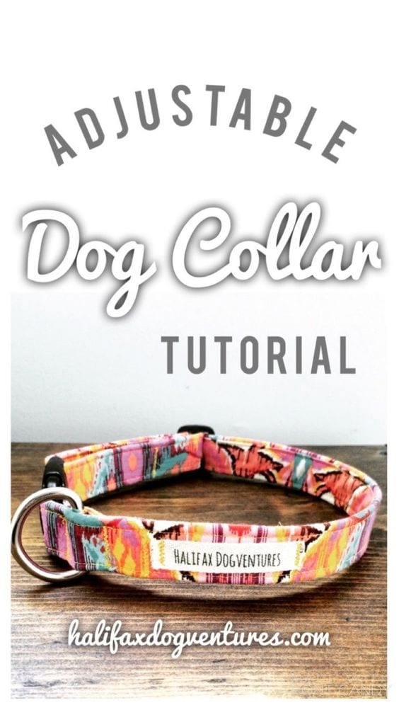 DIY Adjustable Dog Collar Tutorial
