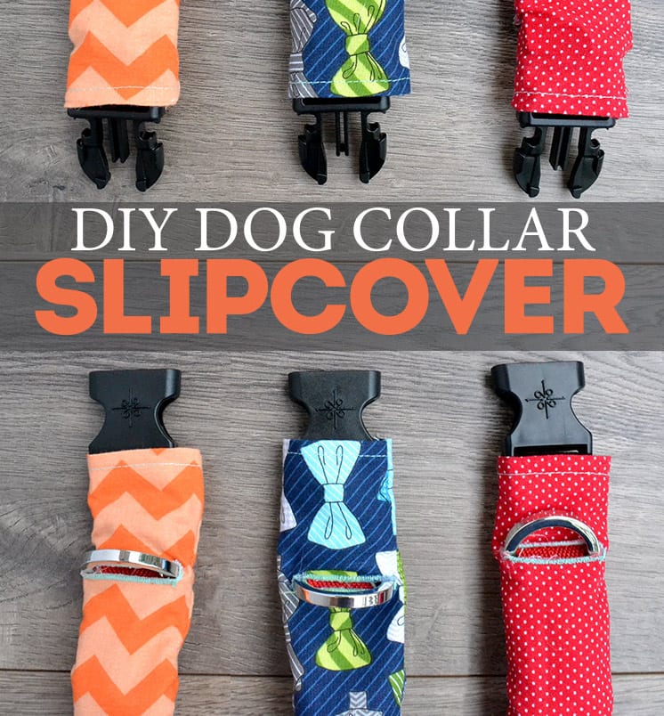 Dog Collar Slipcover 
