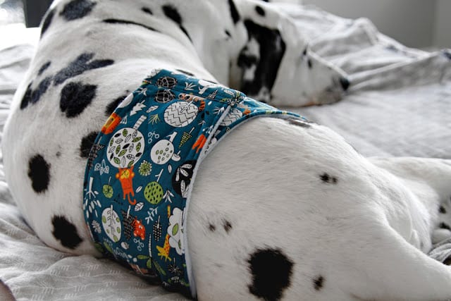 Belly Band Dog Diaper FREE Tutorial