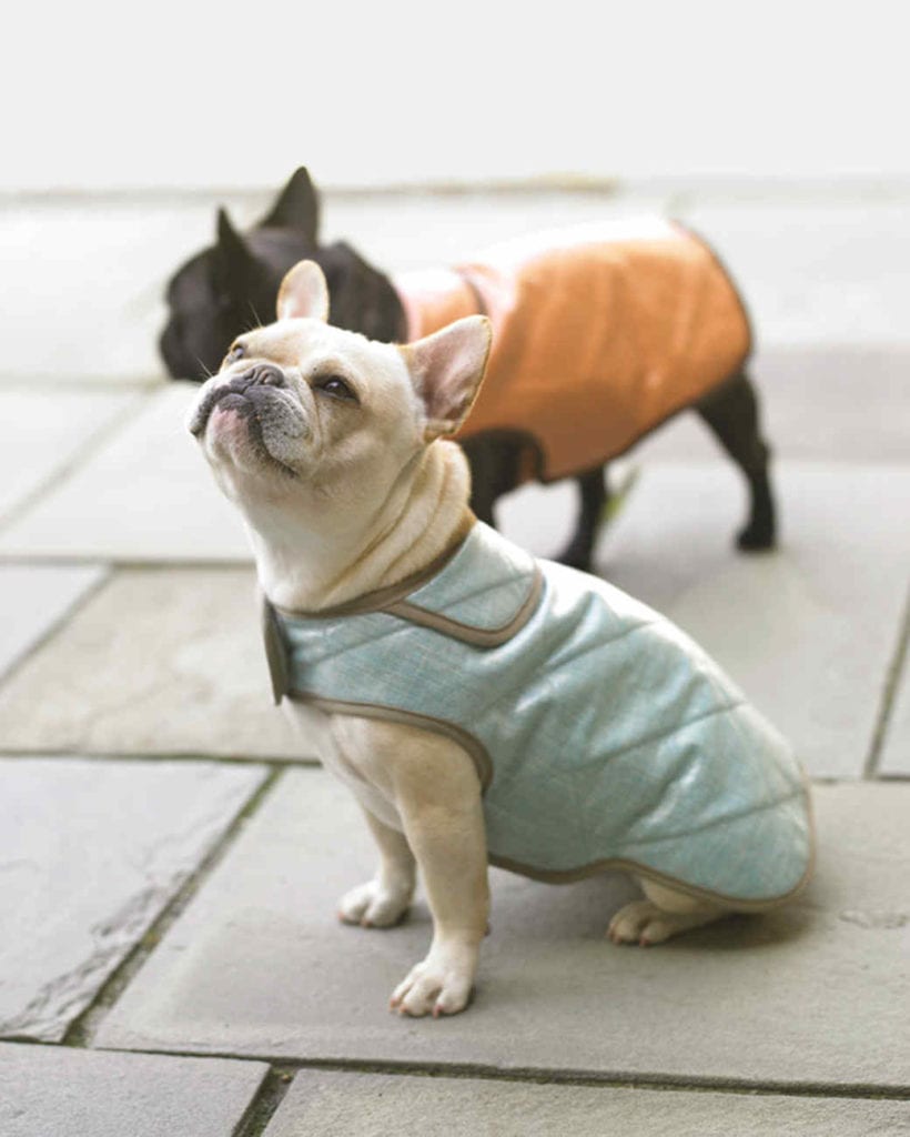 Water-Resistant Dog Coats FREE Sewing Pattern and Tutorial