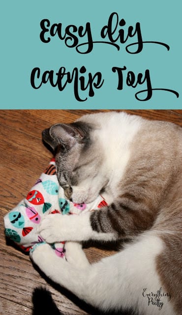 Catnip Toy FREE Sewing Tutorial