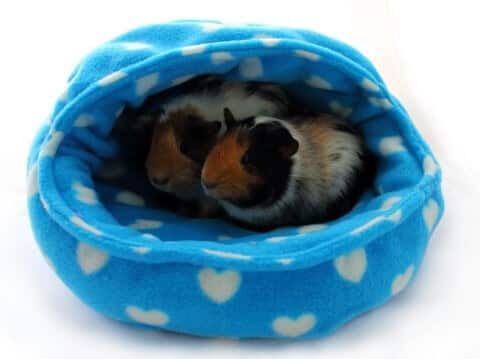 Snuggle Pod For Small Animals FREE Sewing Tutorial