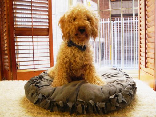 Dog Bed FREE Tutorial