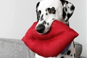Giant Lips Stuffed Dog Toy FREE Sewing Tutorial