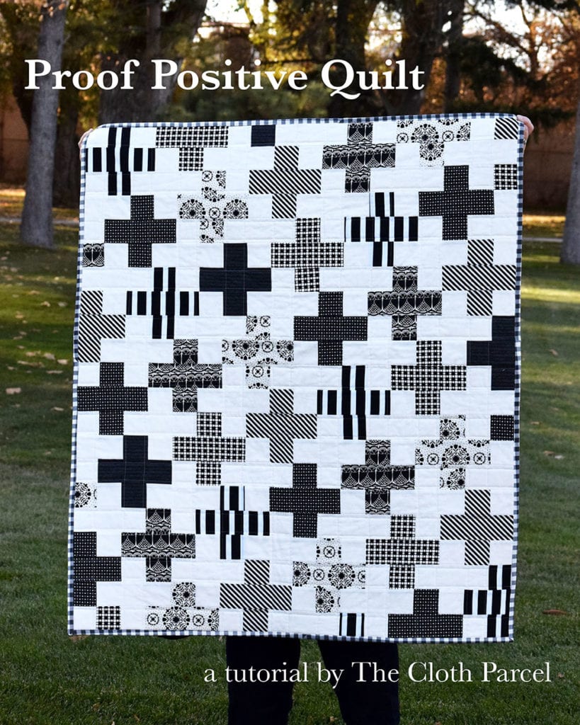 Proof Positive Quilt FREE Tutorial