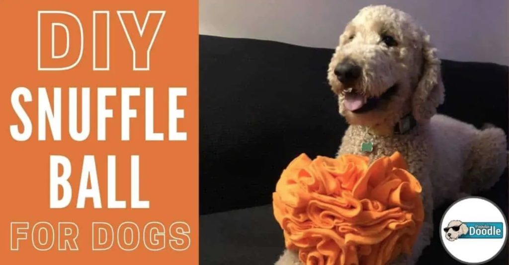Snuffle Ball for Dogs FREE Tutorial