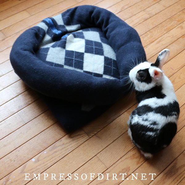 Sweater Pet Bed for Pets FREE Sewing Tutorial