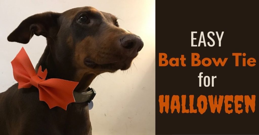 Halloween Bat Bow Tie For Dogs FREE Sewing Tutorial
