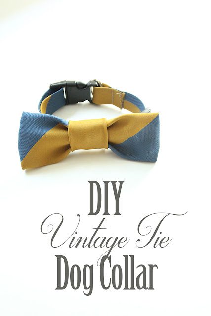 DIY Vintage Bow Tie Dog Collar FREE Sewing Tutorial