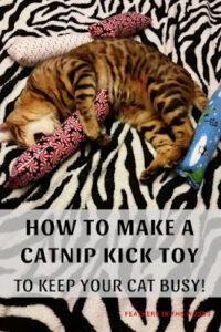 Kitty Kick Toy FREE Sewing Tutorial