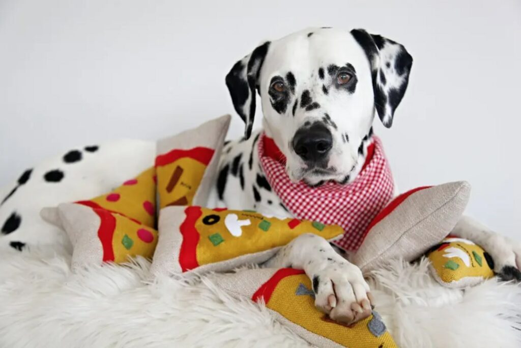 DIY Squeaky Stuffed Pizza Slice Dog Toys